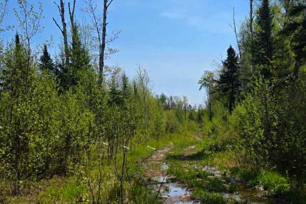Lost Lake Spur