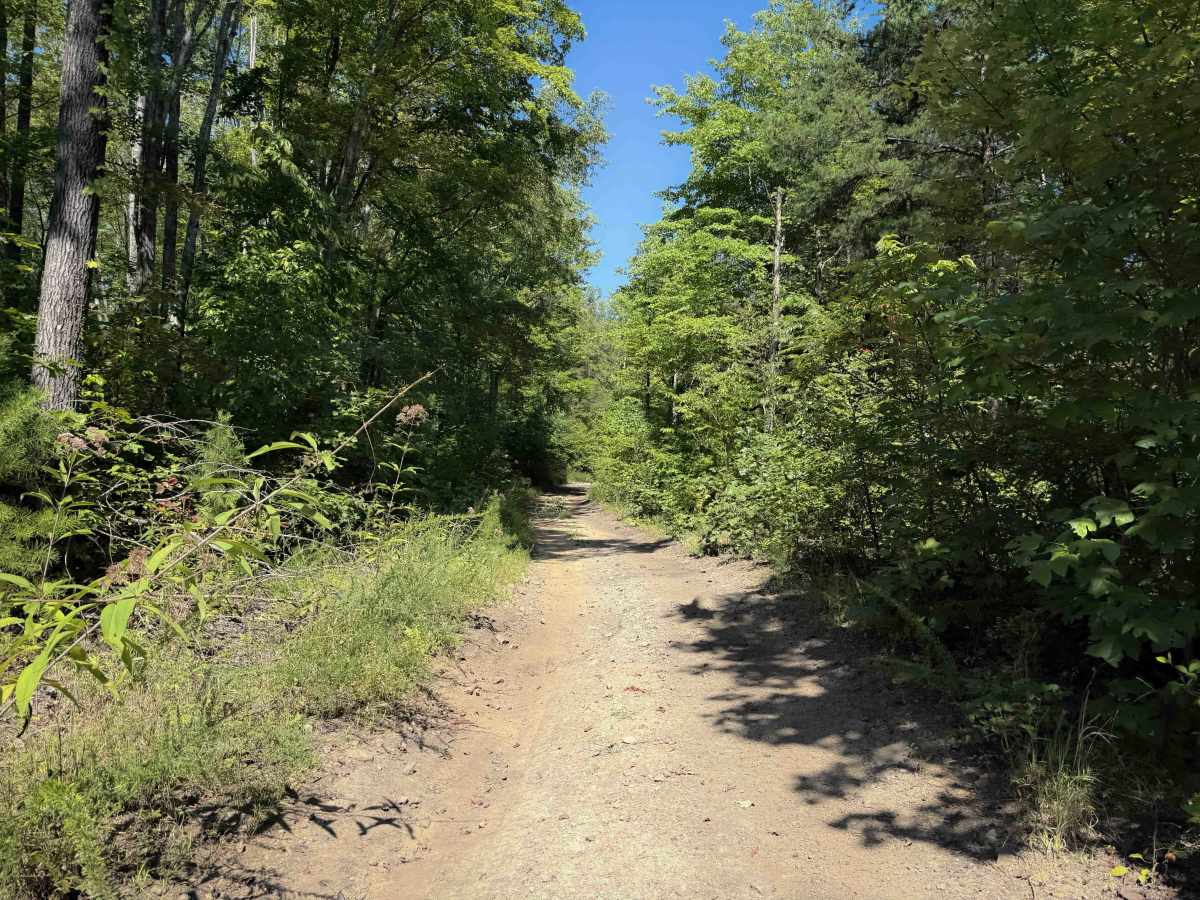 Pond Ridge  photo 5