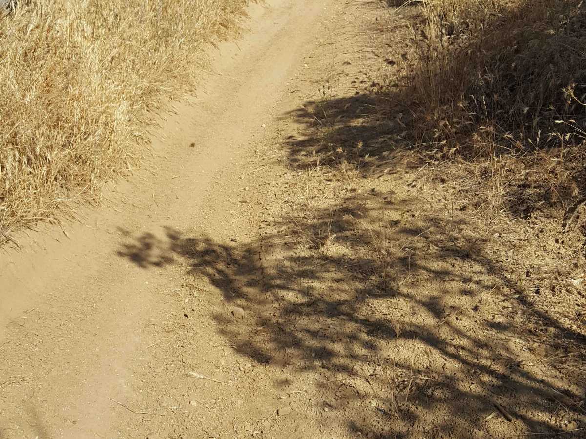 Trail 31 photo 5