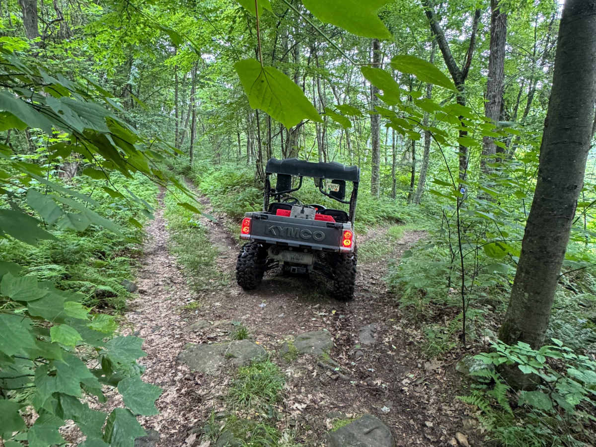 Trail 27 trail photo