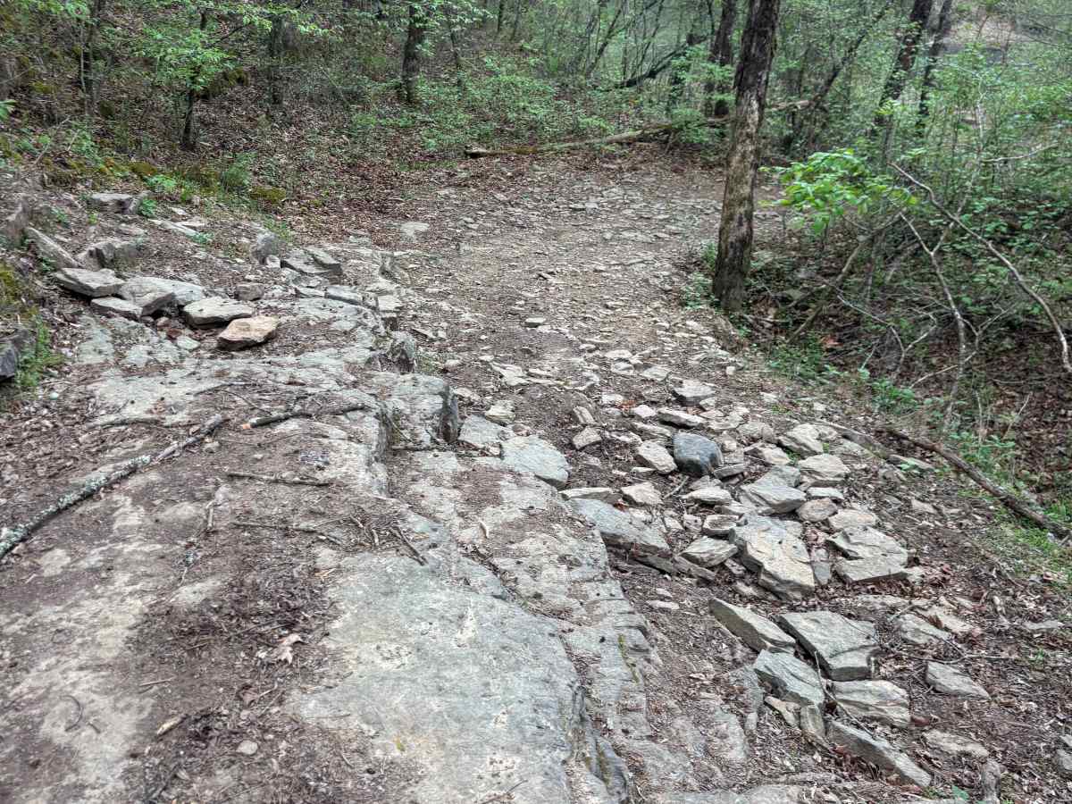 Brock Creek photo 3