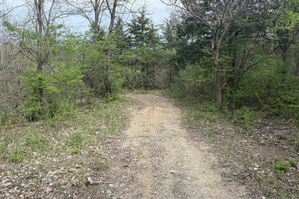 Trail # 3