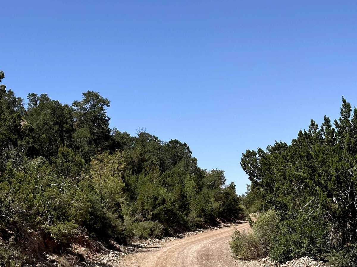 La Luz South trail photo