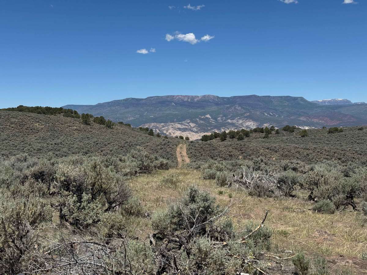 BLM 8477C trail photo