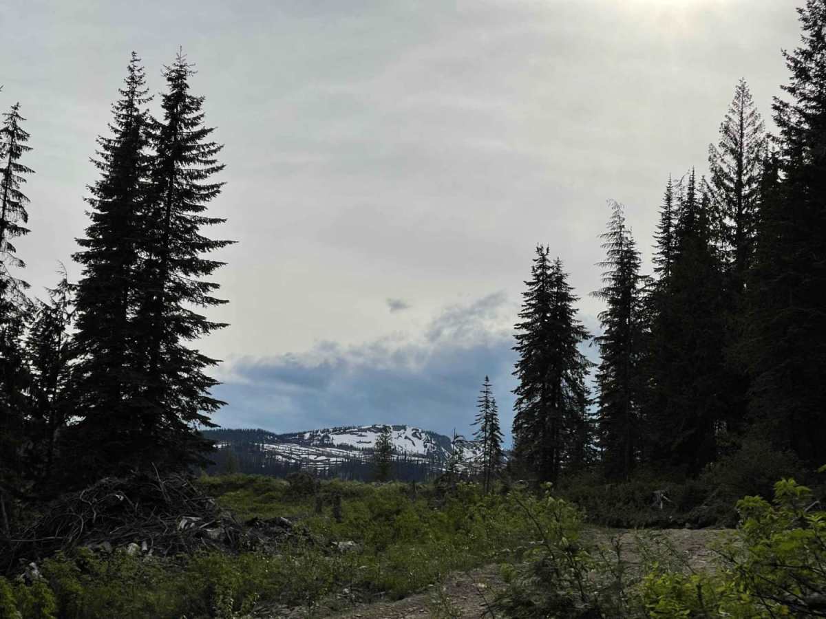 Mara Lookout Trail photo 4