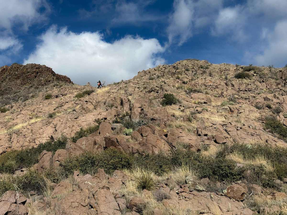Cottonwood Trail #8 (Singletrack) photo 5