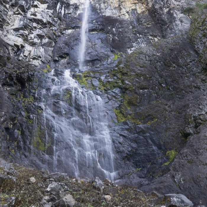 Near Snoquera Falls and Moss Lake Loop