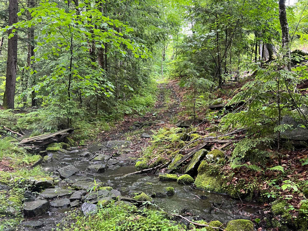 Porter Road trail photo