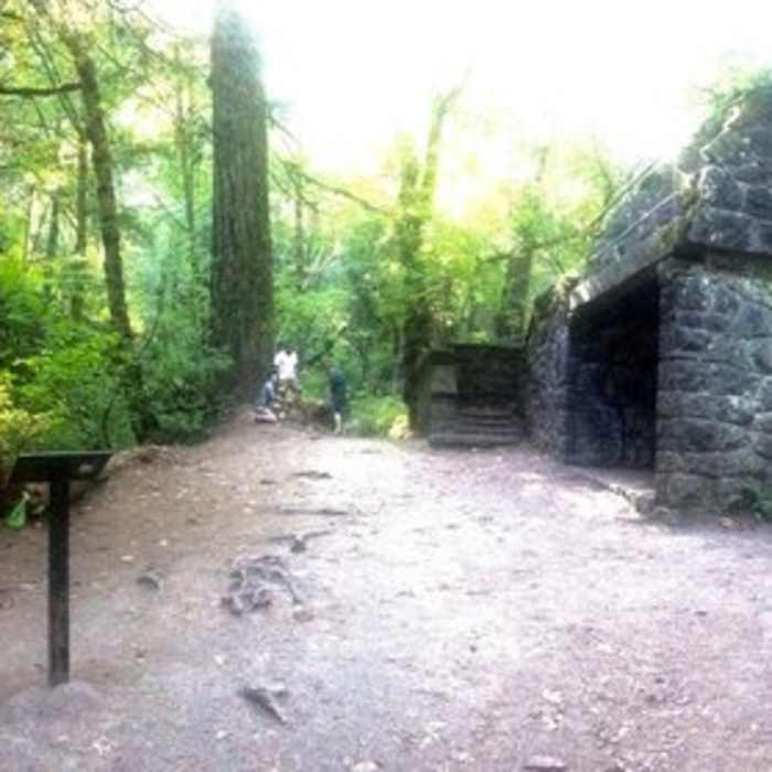 Near Lower Macleay Trail