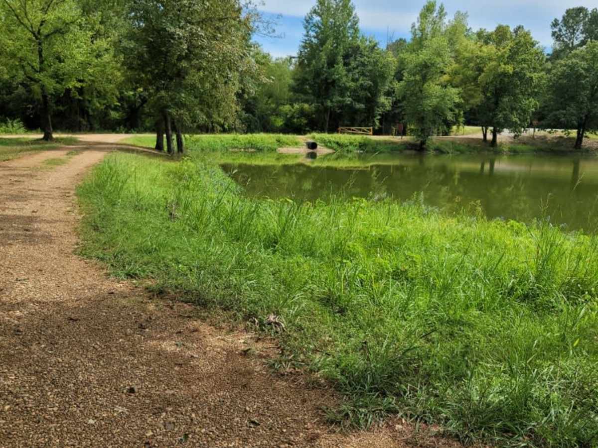 Bell Lake Access trail photo