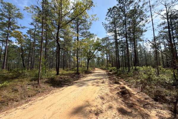 Carpenter Road