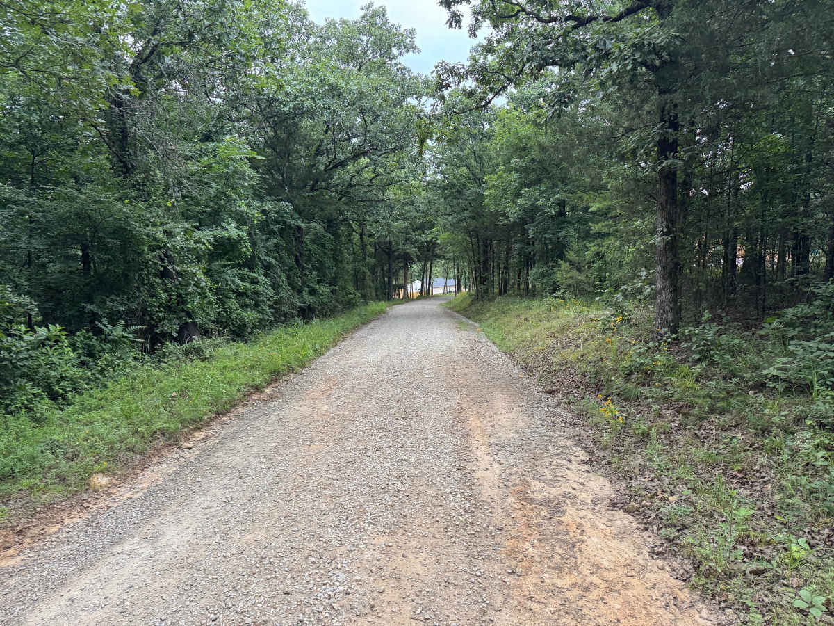 County Road 3339 trail photo