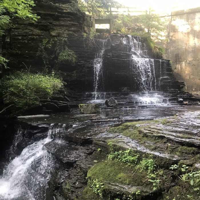Near Gorge Trail