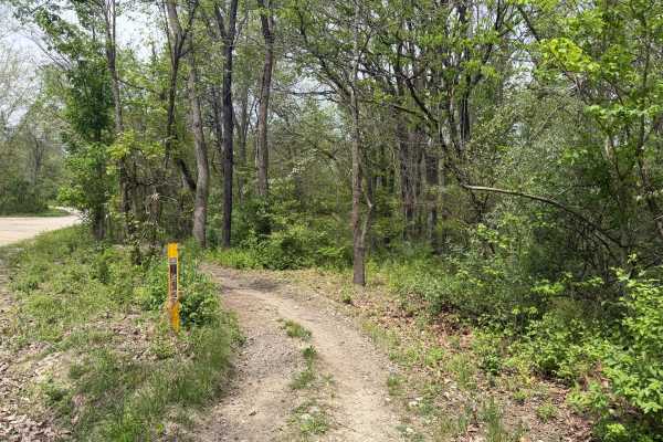 Saw Mill Trail