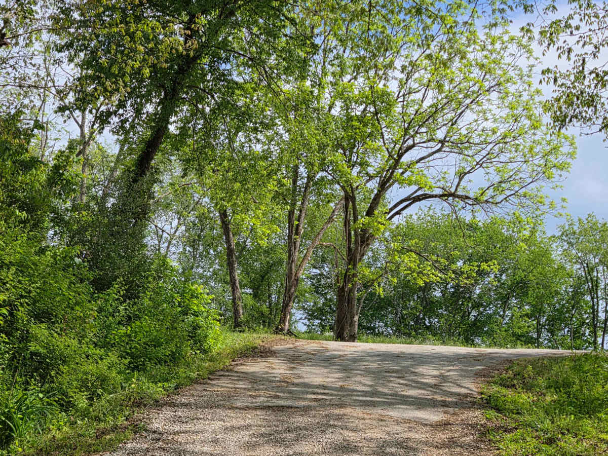 Pierson Road trail photo