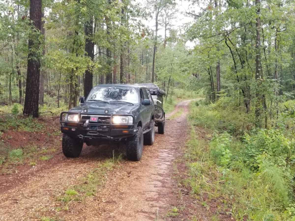 Kisatchie NF Spur Trail trail photo