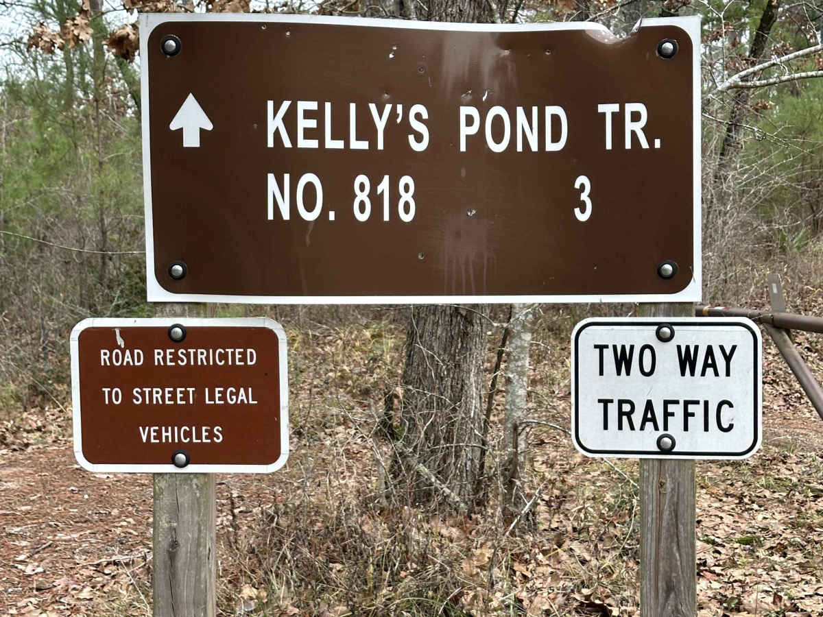 Kelly's Pond Road - FS 271 trail photo