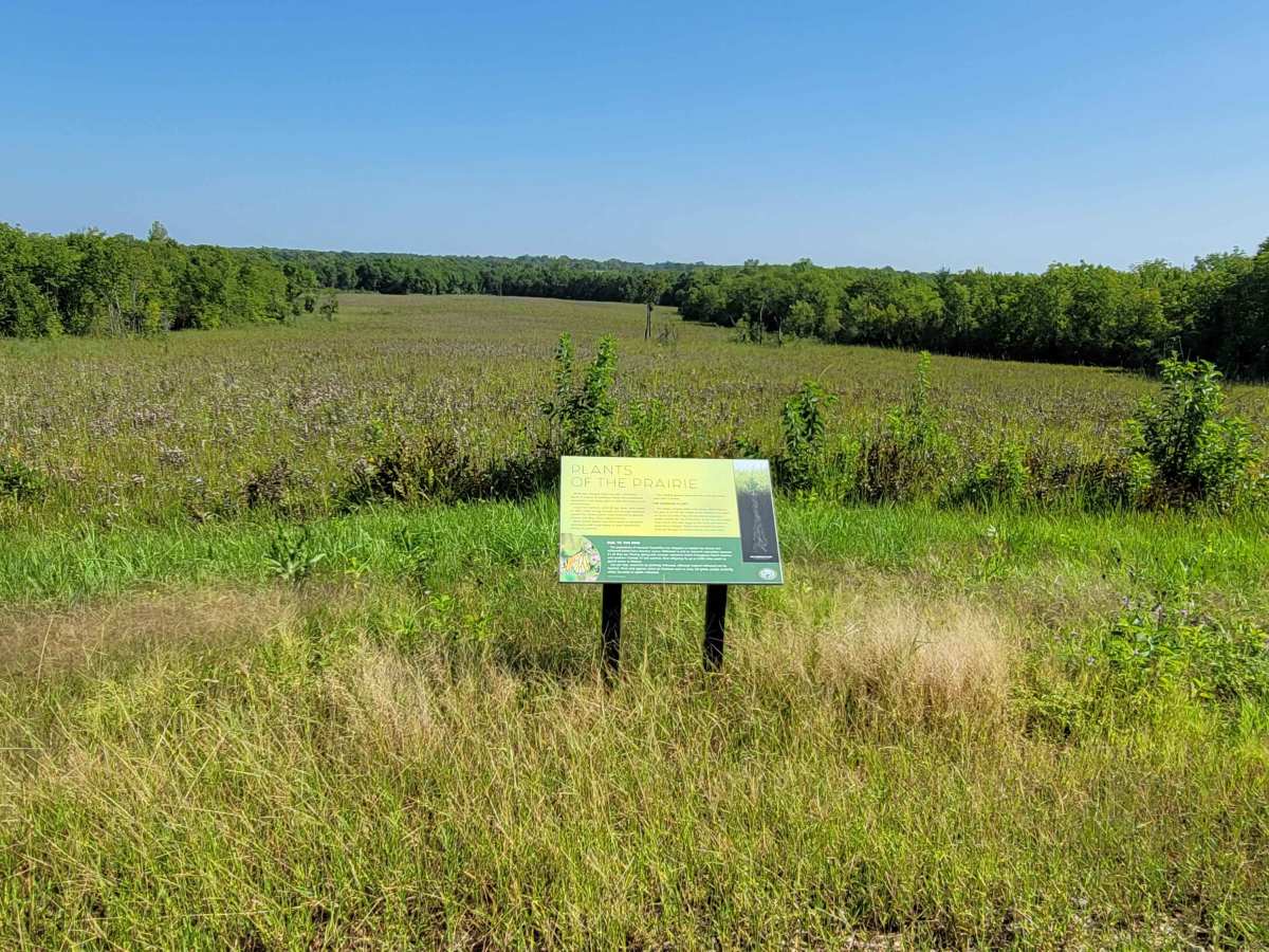 Rick Evans Grandview Prairie WMA Auto Route photo 2