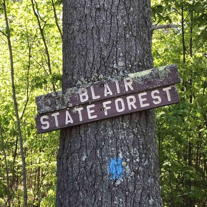 Blair State Forest Near Blair Forest Trail