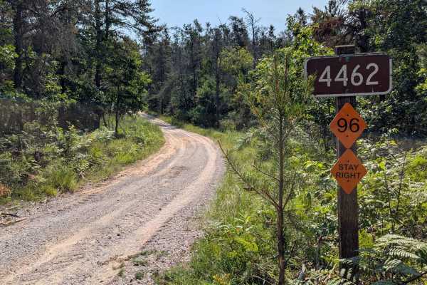 Vaughn Trail - FS 4462