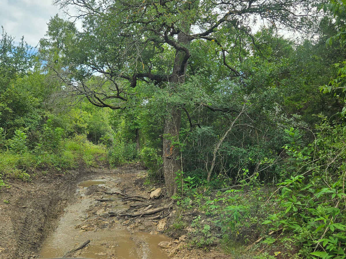 Captain Call Creek photo 4