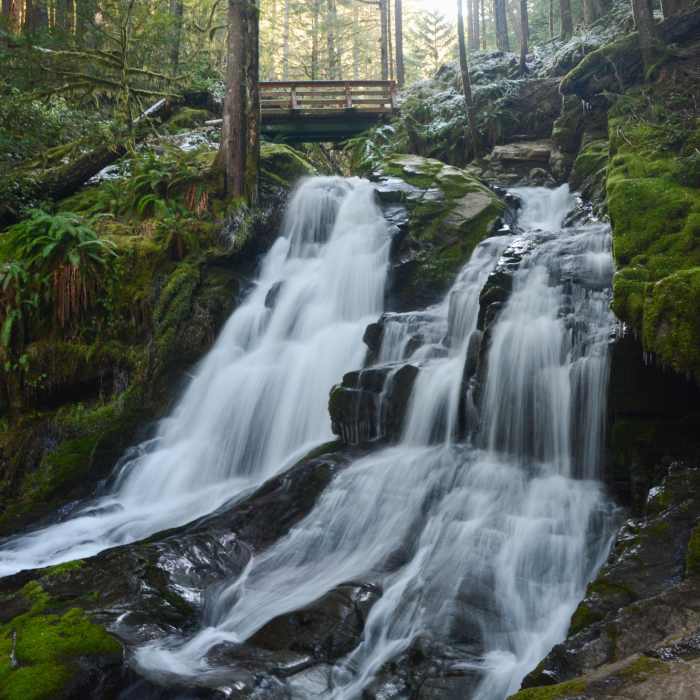 Near Siouxon Creek