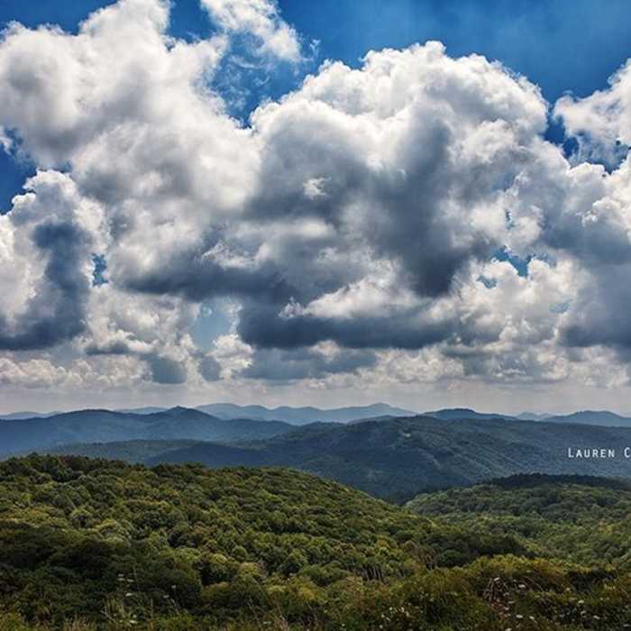 A sea of forest extends in all directions from Max Patch Mountain. Near Lemon Gap to Max Patch
