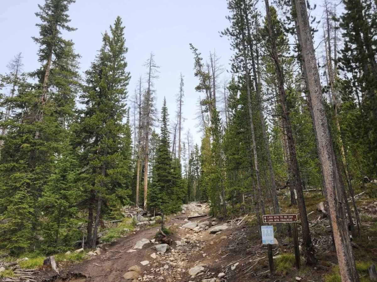 Lava Mountain Loop photo 4