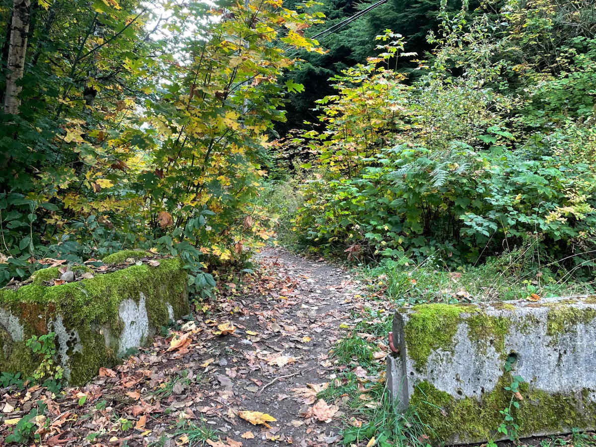 Old Government Road Single Track photo 4