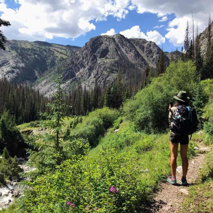 Near Elk Creek Trail #503 (via Molas Pass)