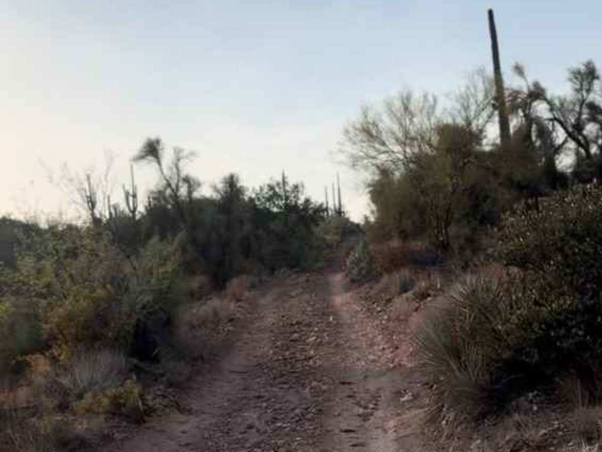 Trail 20003 photo 2