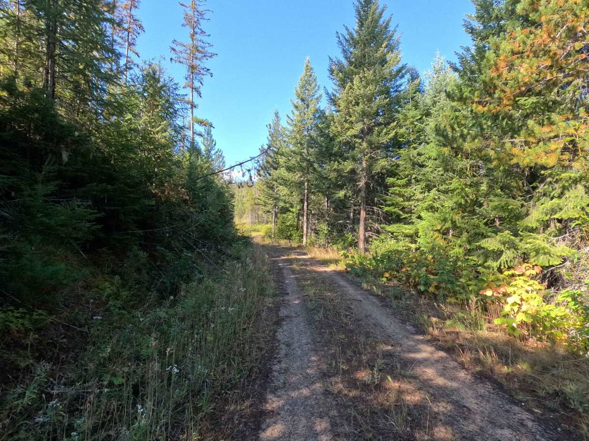 Klahowya Creek A - FS 1075A photo 5