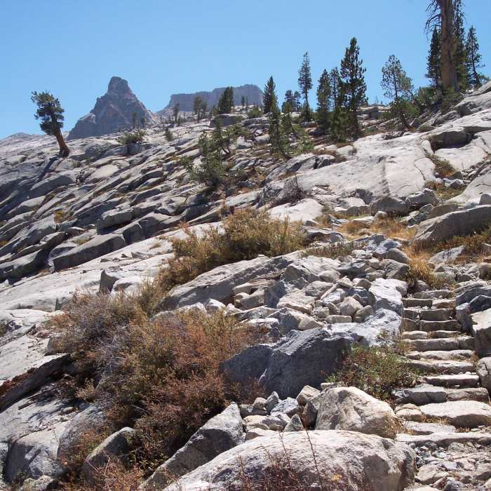Near Silliman Pass Trail