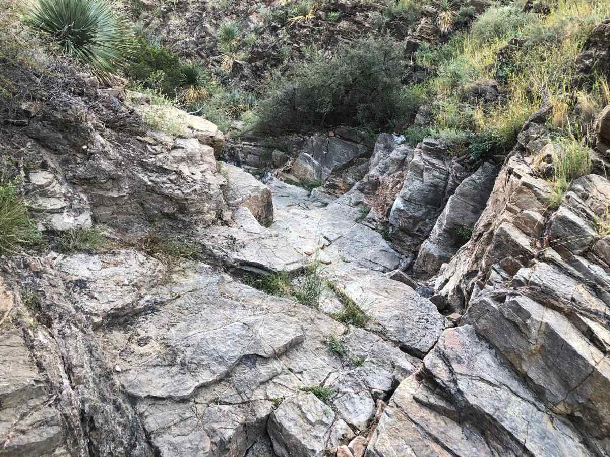 Short Cut trail photo