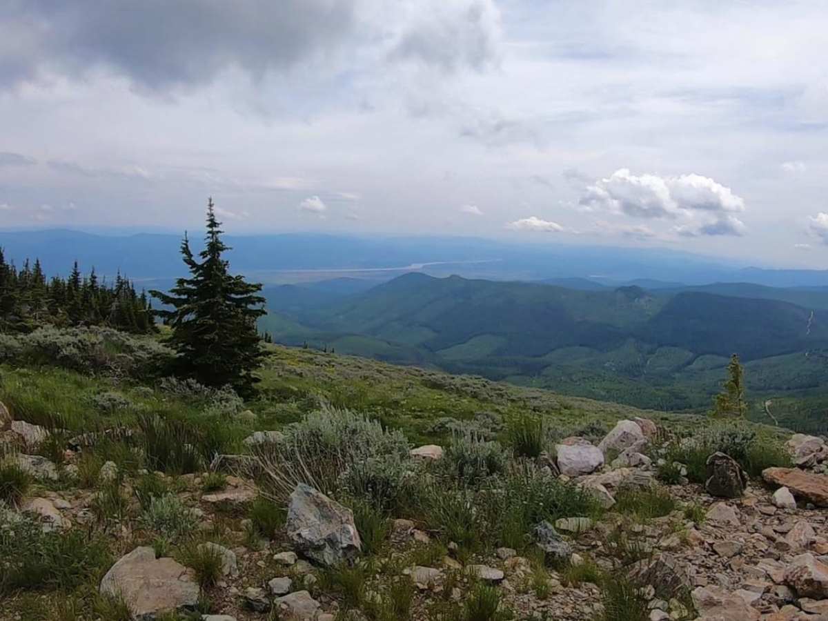 Calispell Peak trail photo