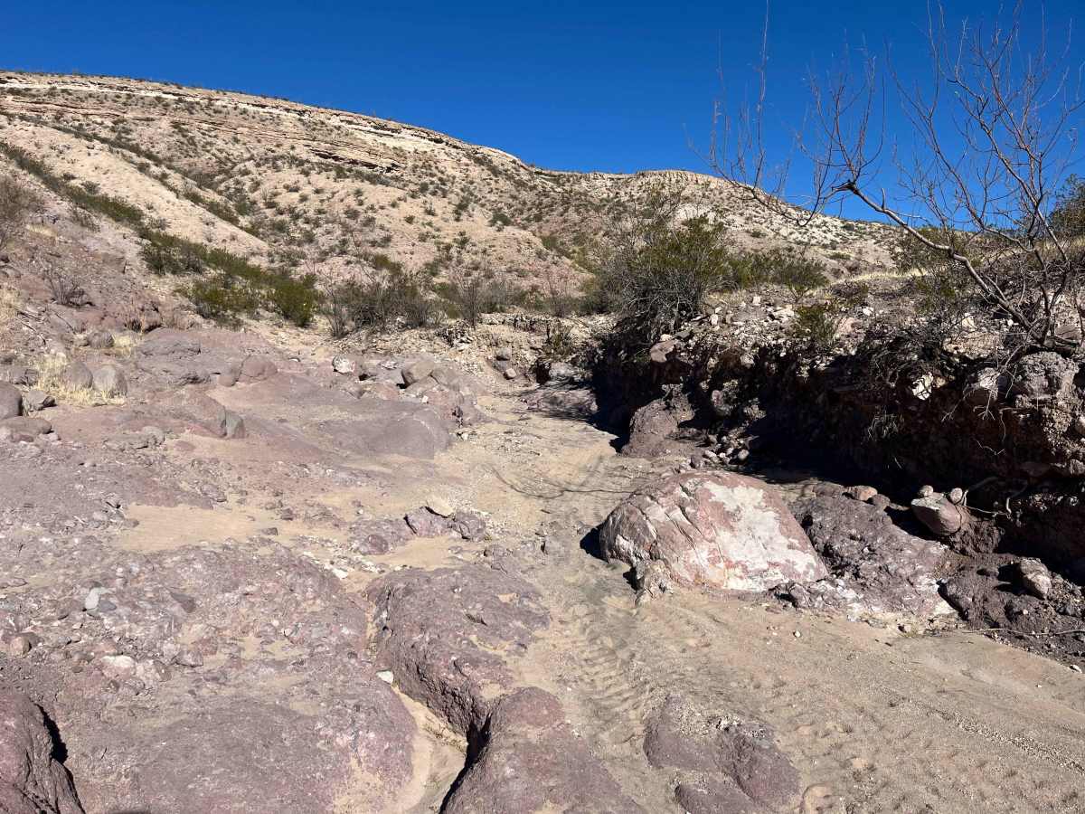 Sparky’s Loop photo 3