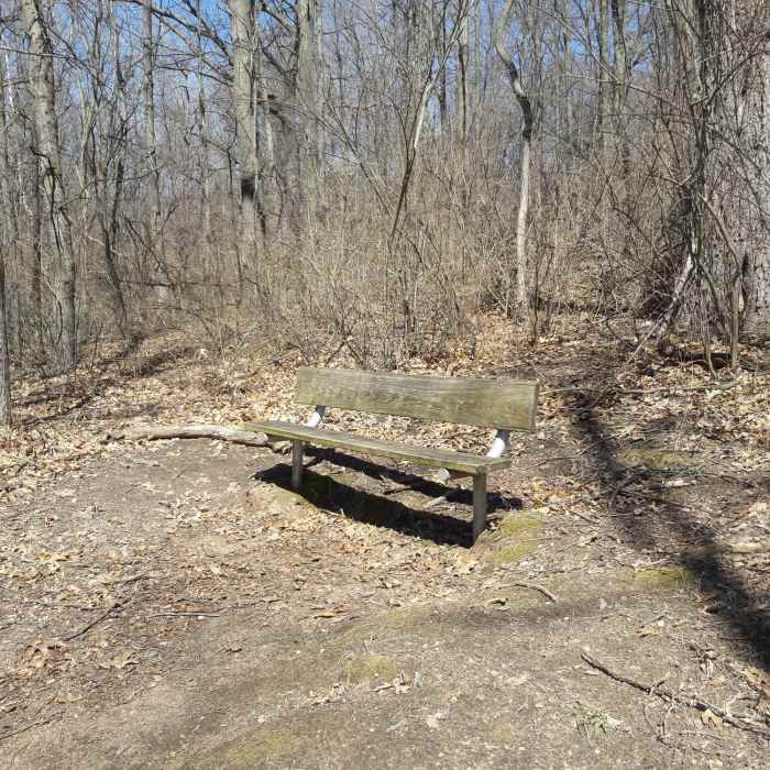 Birds often congregate on this bench along the Deer Run Trail. Near Deer Run Trail
