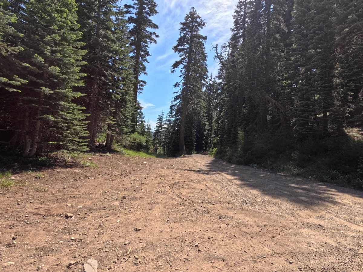 Cowell Mine Road - FS 2308 photo 6