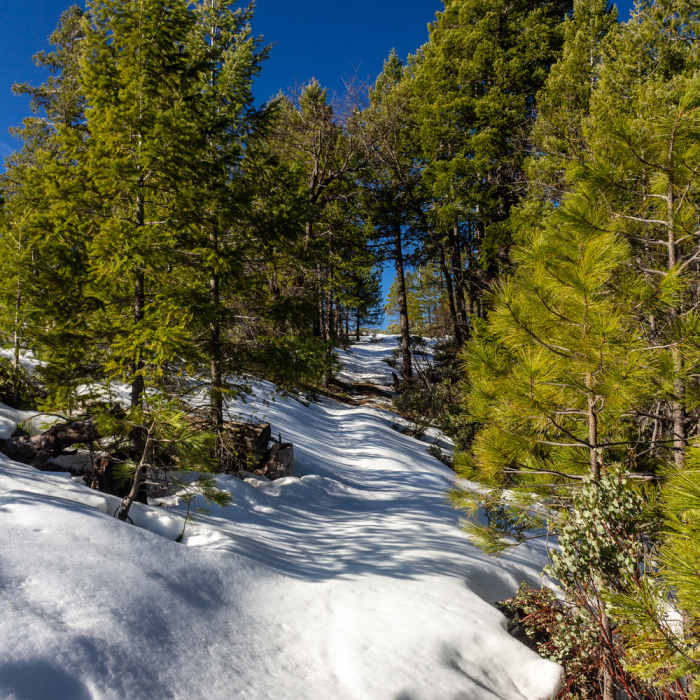 Near Halls Ranch Trail