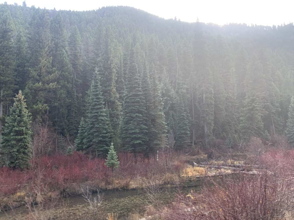 Slate Creek photo 2