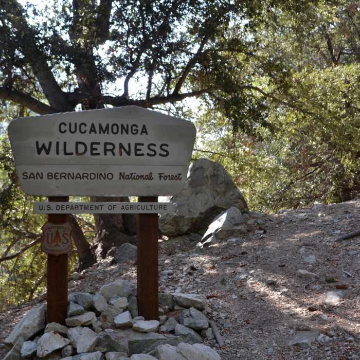 Near Middle Fork Trail #6W01