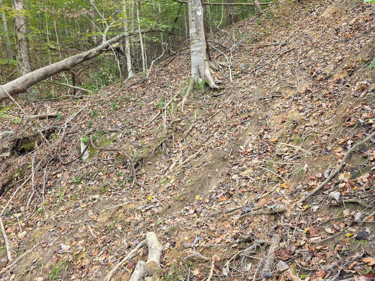 Heck No Hill photo 5