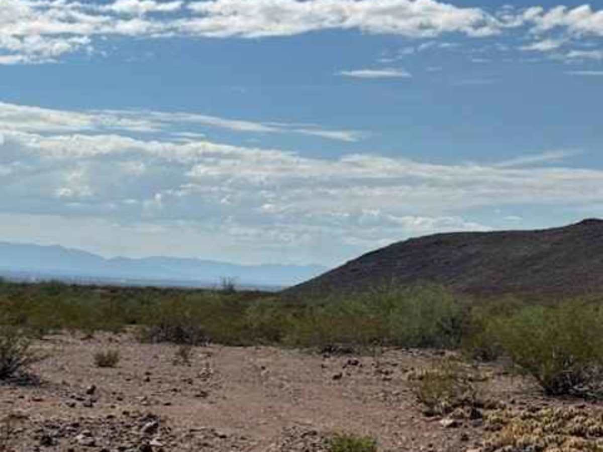 BLM PE1126 photo 4