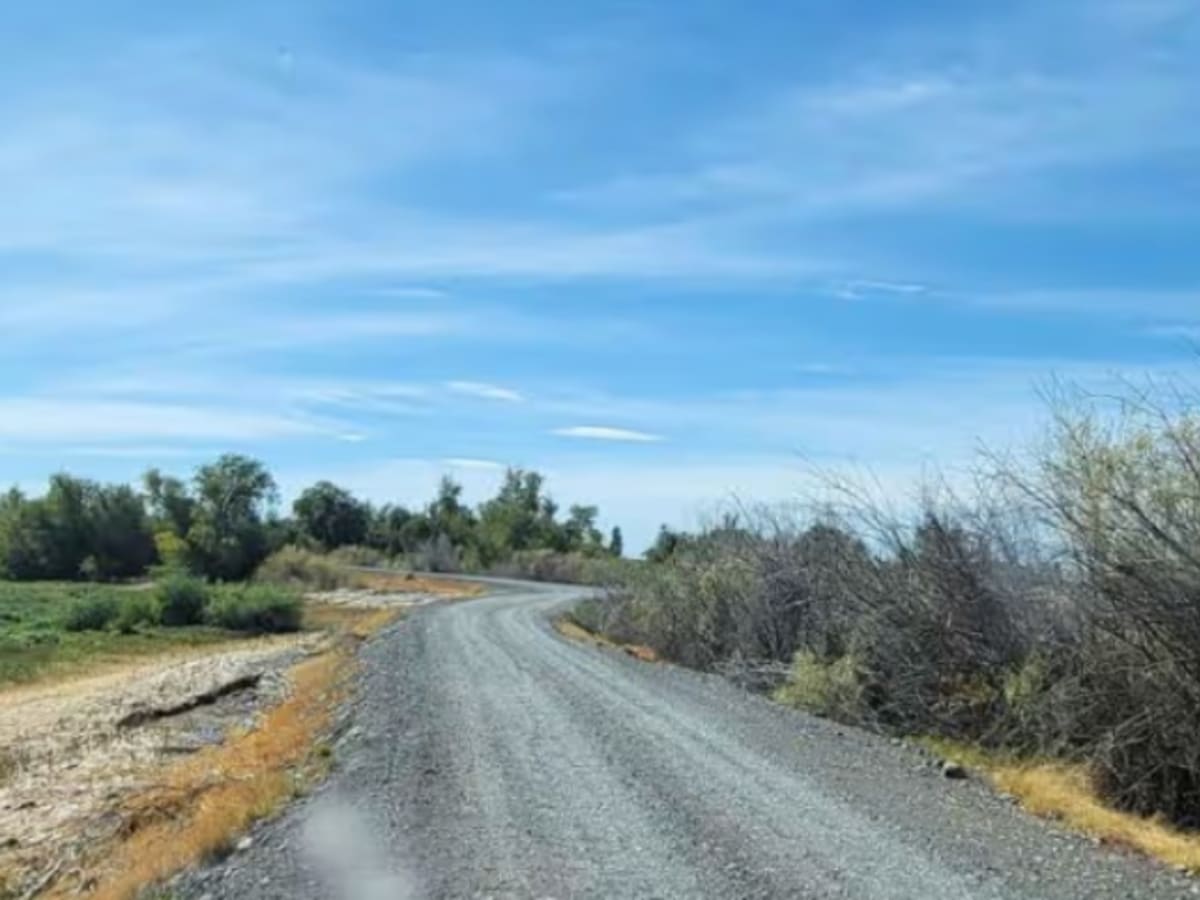 Bird Reserve photo 6