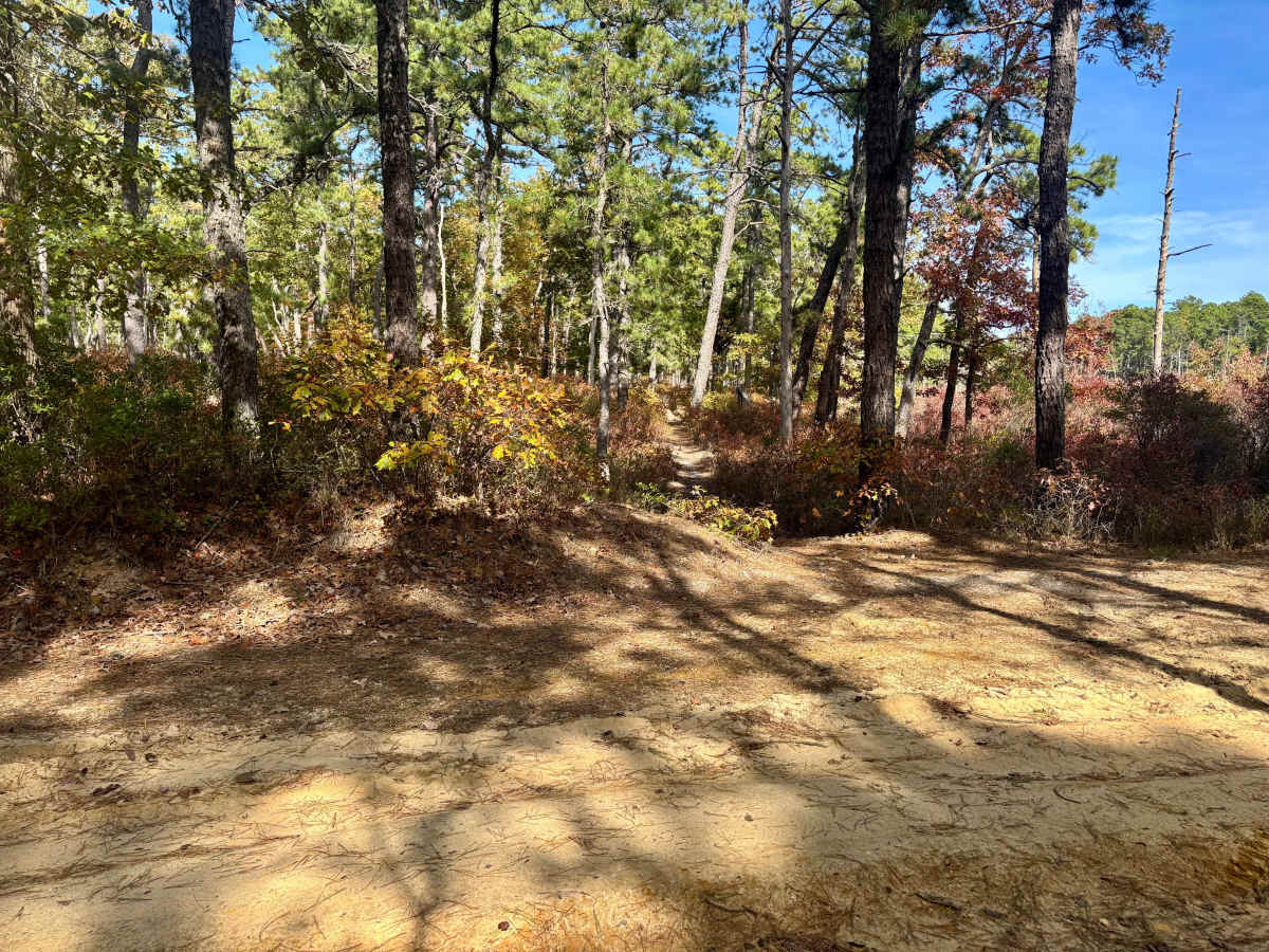 Dan's Bridge Road photo 5