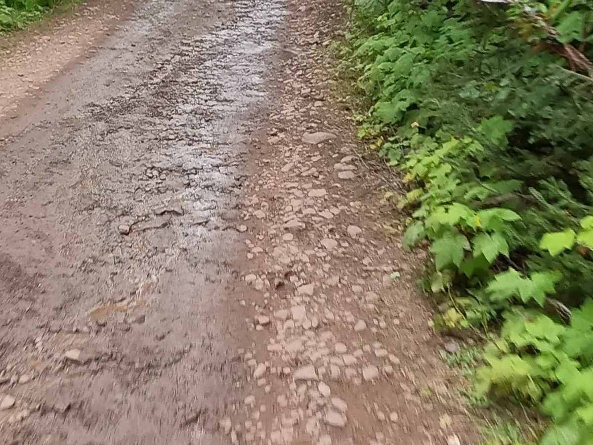 Schlatter Lake Trail photo 3