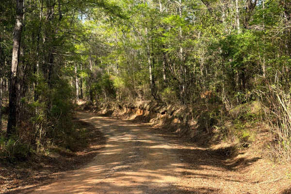McCoy Road