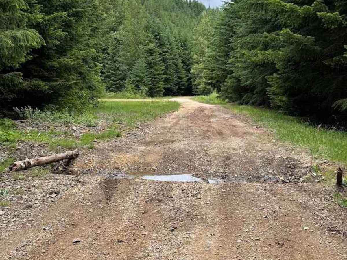 Log Creek - FS 4110 photo 3