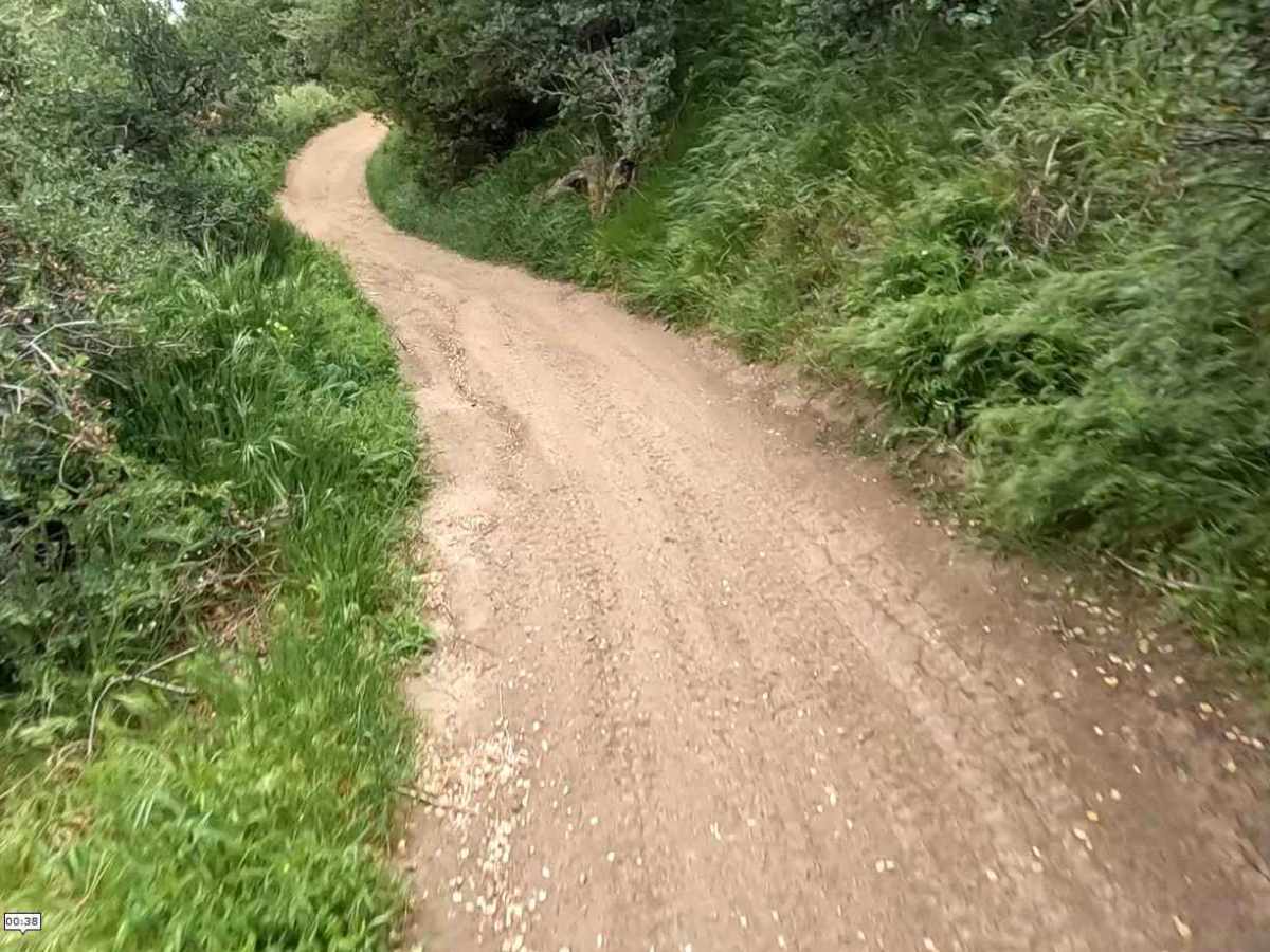 Lower Brome Trail photo 3