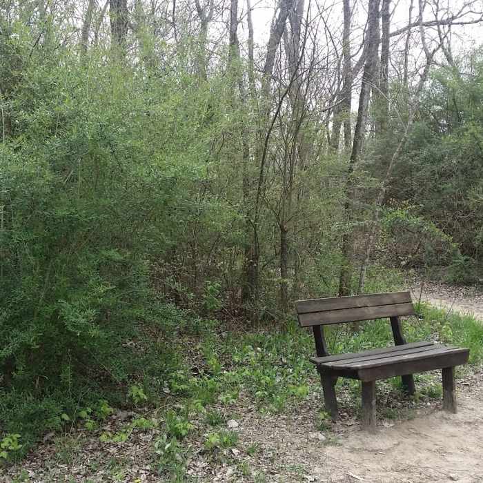 Tina's Bench provides a great resting point with a wonderful view of Clear Creek. Near Clear Creek Natural Heritage Center